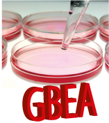 Le GBEA était un texte réglementaire, opposable à tous les laboratoires de biologie médicale, qu'ils soient privés ou publics, qui représentait une ébauche de la mise en place d'un système d'assurance Qualité dans les laboratoires, - Organisation du laboratoire-Fonctionnement du laboratoire-Exécution des analyses-Stockage et conservation des archives