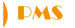 Sytème de mesure de la performance, Processus de la performance