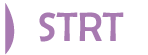 Stratégie de développement, Stratégie positioning, Diagnostic et élaboration de stratégies, Elaboration des business plan,  Développement marketing et commercial