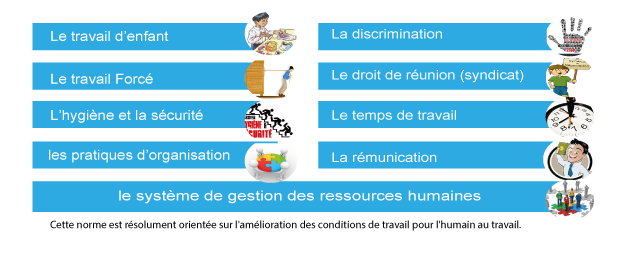 Développement durable SA 8000-Objectif-avantages-socialaccountability-Exigence-de-la-norme-SA8000-Accompagnement-à-la-mise-en-place-de-la-norme-SA-80006-Socieal-Accountability-luter-national-L'objectif-de-SA8000-certificate-structure-de-la-norme- l'homme-de-l'ONU